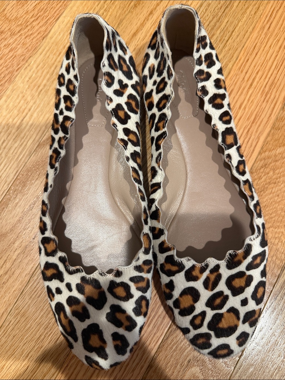 Chloe Leopard Scalloped Ballet Flats - Brown/Black/White
